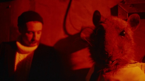 Strawberry Mansion 48