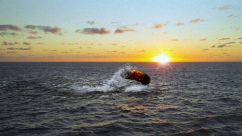 Strawberry Mansion 54