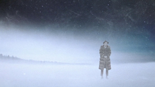 Strawberry Mansion 55