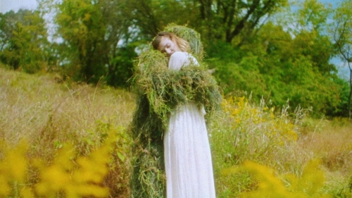 Strawberry Mansion 64