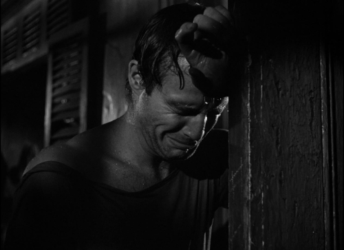 Streetcar Named Desire 25