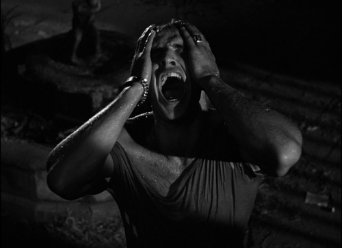 Streetcar Named Desire 27