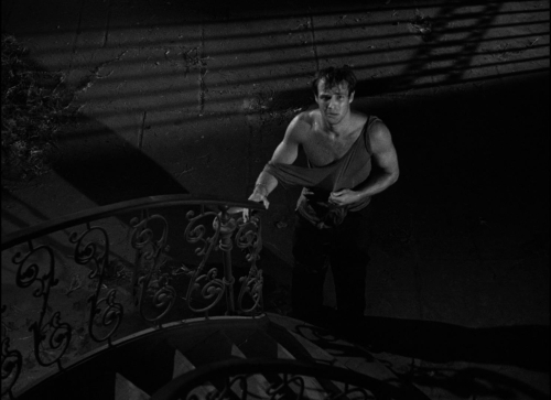 Streetcar Named Desire 29