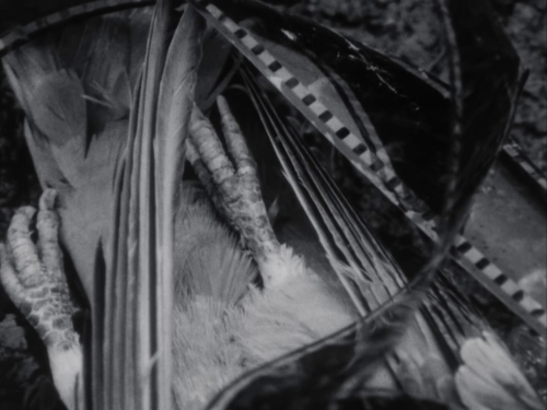 Subconscious Cruelty 04