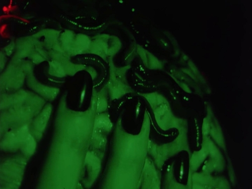 Subconscious Cruelty 07