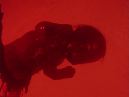 Subconscious Cruelty 13