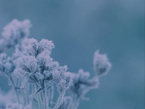 Subconscious Cruelty 30