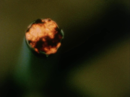 Subconscious Cruelty 40