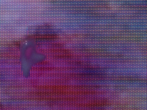 Subconscious Cruelty 48