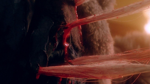 THe Bride With The White Hair II 051