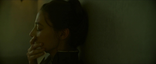 Tchaikovsky's Wife 10