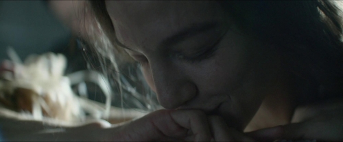 Tchaikovsky's Wife 21