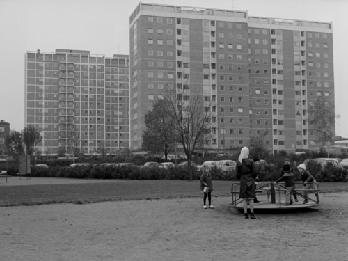 The Bay Carriage 23