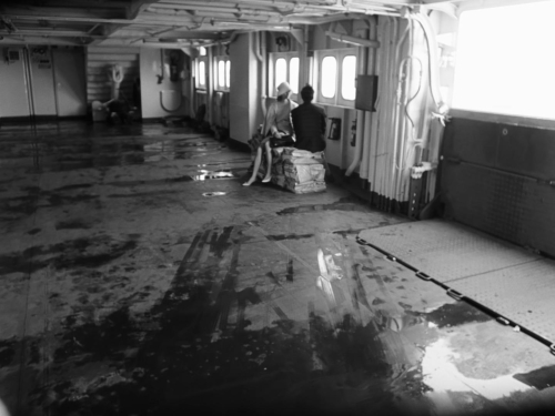 The Bay Carriage 53