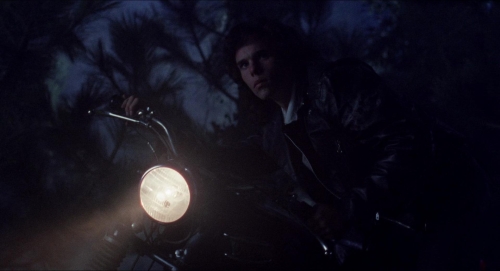 The Blob 14