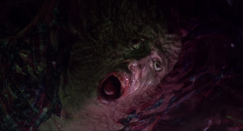 The Blob 41