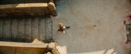 The Book of Clarence24