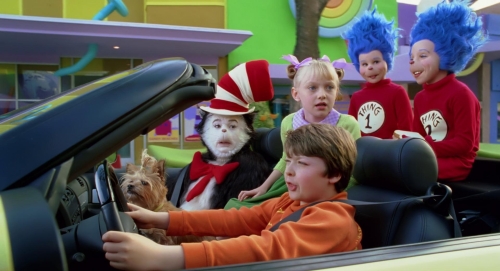 The Cat In The Hat 45