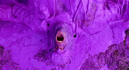 The Cat In The Hat 49