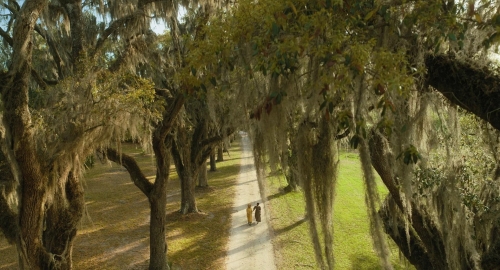 The Colour Purple 2023 15