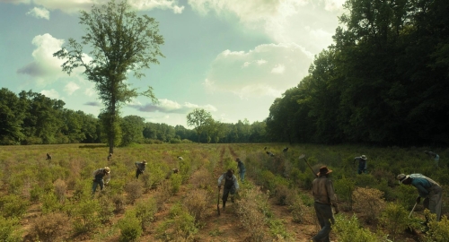 The Colour Purple 2023 48