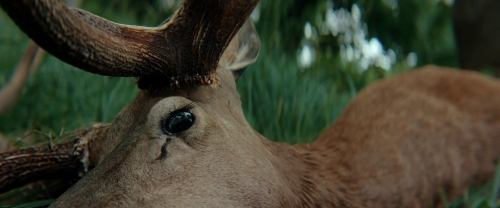 The Count of Monte Cristo 33