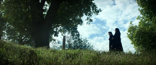 The Count of Monte Cristo 53