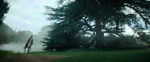 The Count of Monte Cristo 55