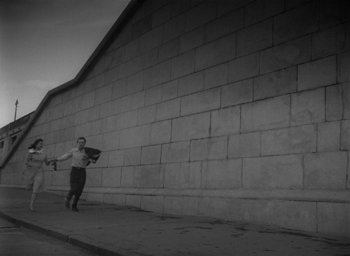 The Cranes Are Flying 02