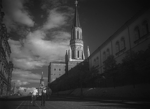 The Cranes Are Flying 05