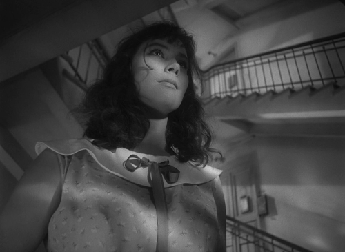 The Cranes Are Flying 07