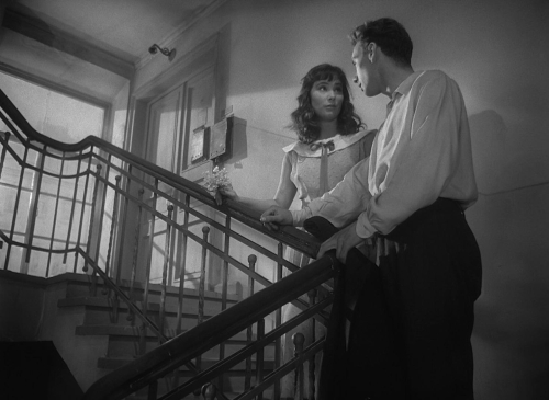 The Cranes Are Flying 08