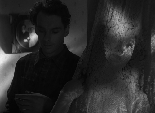 The Cranes Are Flying 17