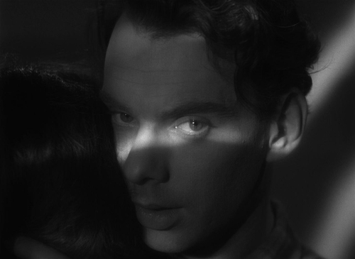 The Cranes Are Flying 18