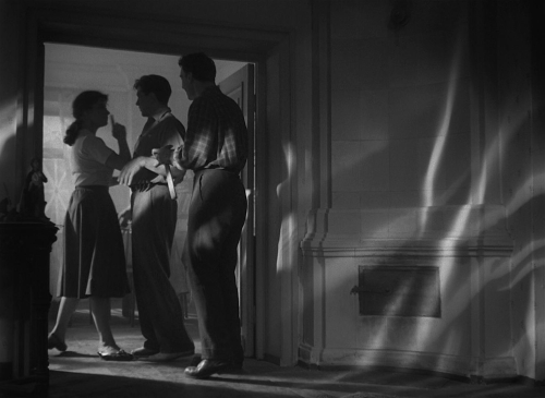 The Cranes Are Flying 20