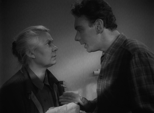 The Cranes Are Flying 21