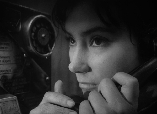 The Cranes Are Flying 28