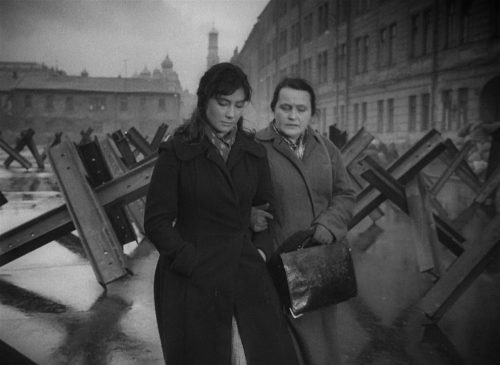 The Cranes Are Flying 29