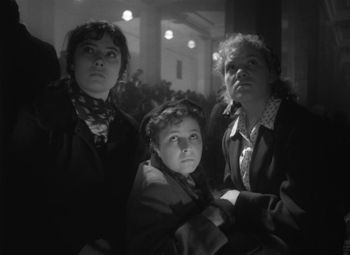 The Cranes Are Flying 30