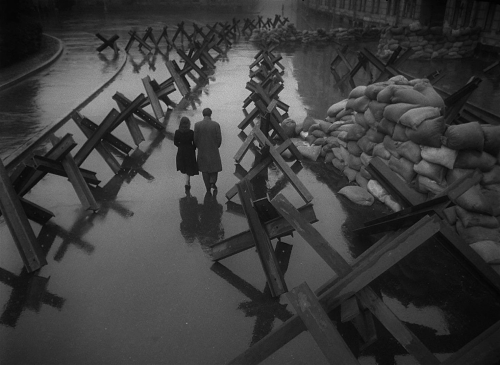 The Cranes Are Flying 33