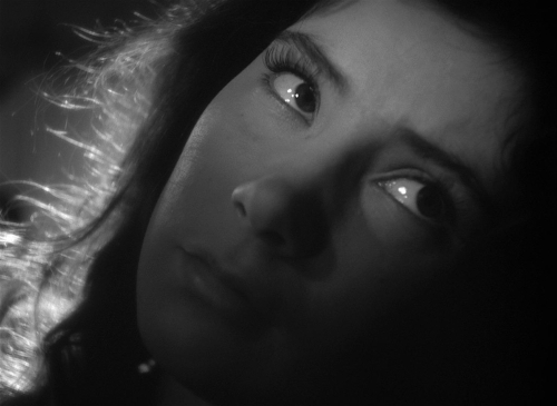 The Cranes Are Flying 34