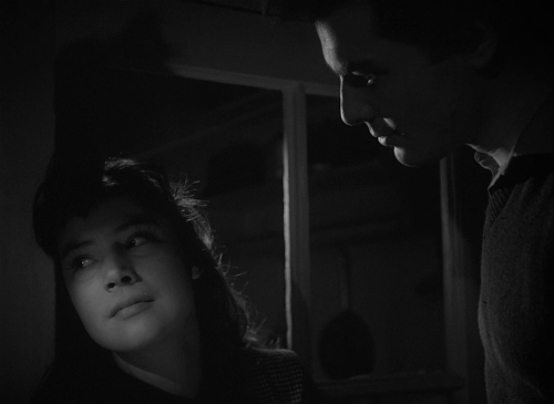 The Cranes Are Flying 37