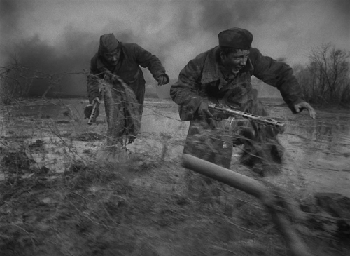 The Cranes Are Flying 39