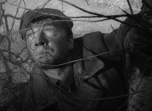 The Cranes Are Flying 40