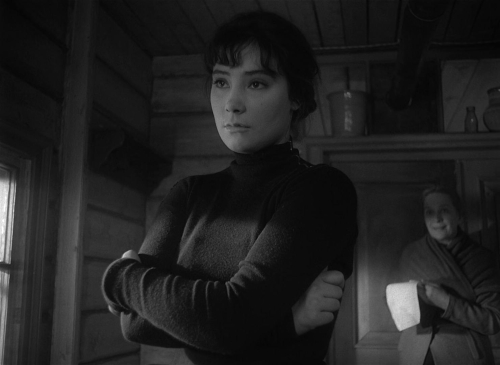 The Cranes Are Flying 43