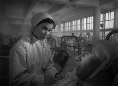 The Cranes Are Flying 45