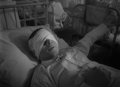 The Cranes Are Flying 46