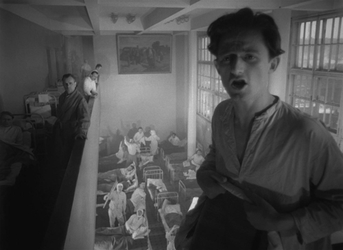 The Cranes Are Flying 47