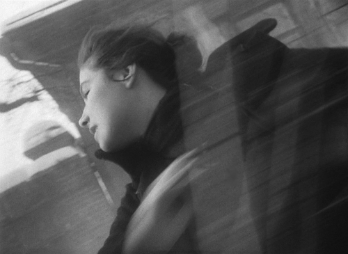 The Cranes Are Flying 48