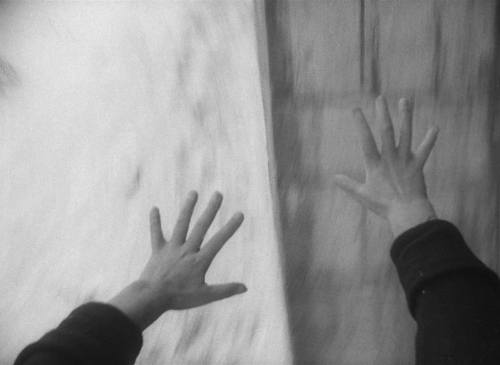 The Cranes Are Flying 49